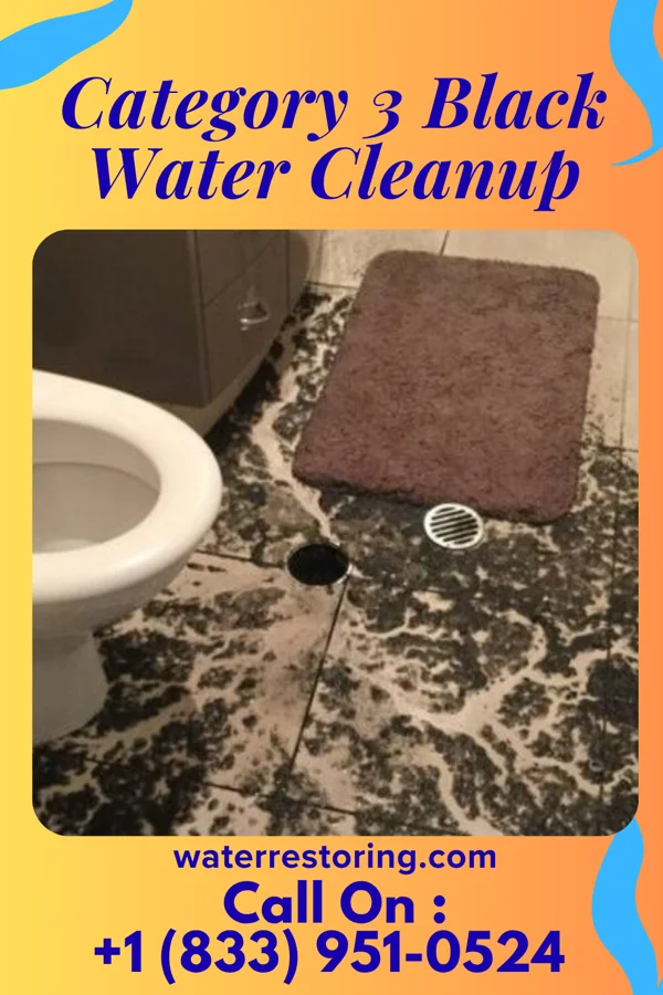 Category 3 Black Water Cleanup in Fairview Park, IN
