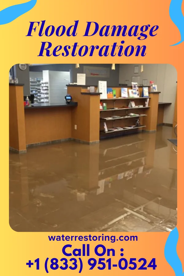 Flood Damage Restoration in Fairview Park, IN