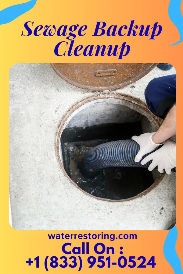 Sewage Backup Cleanup in Fairview Park, IN